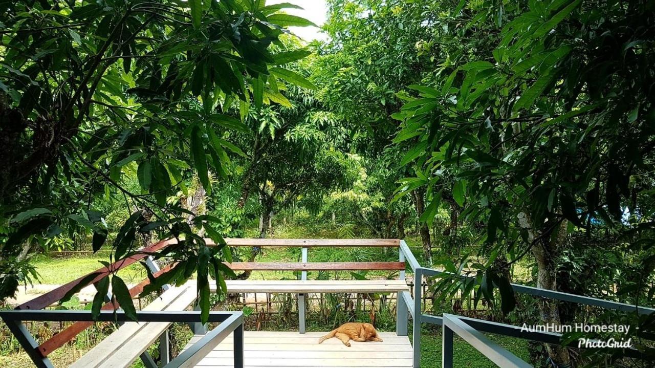 Aum Hum Homestay Fang Dış mekan fotoğraf