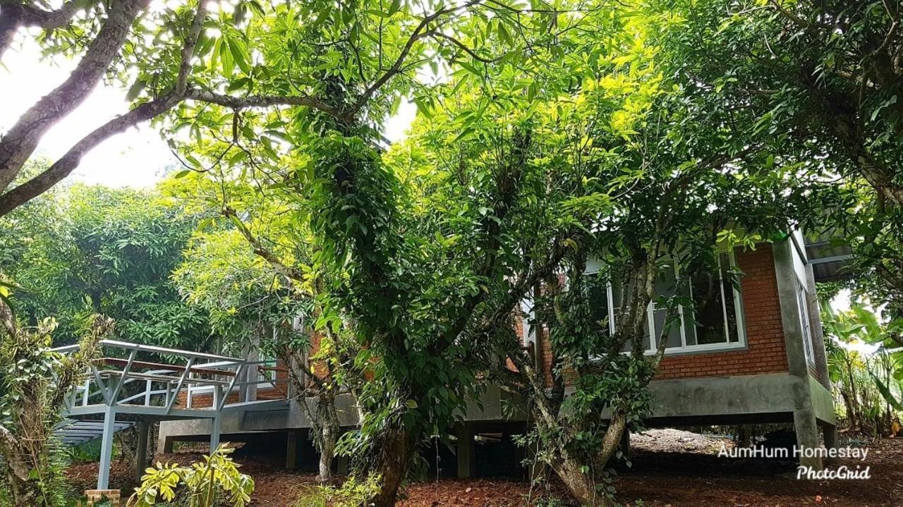 Aum Hum Homestay Fang Dış mekan fotoğraf