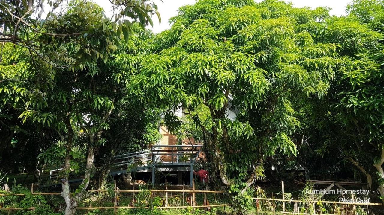 Aum Hum Homestay Fang Dış mekan fotoğraf