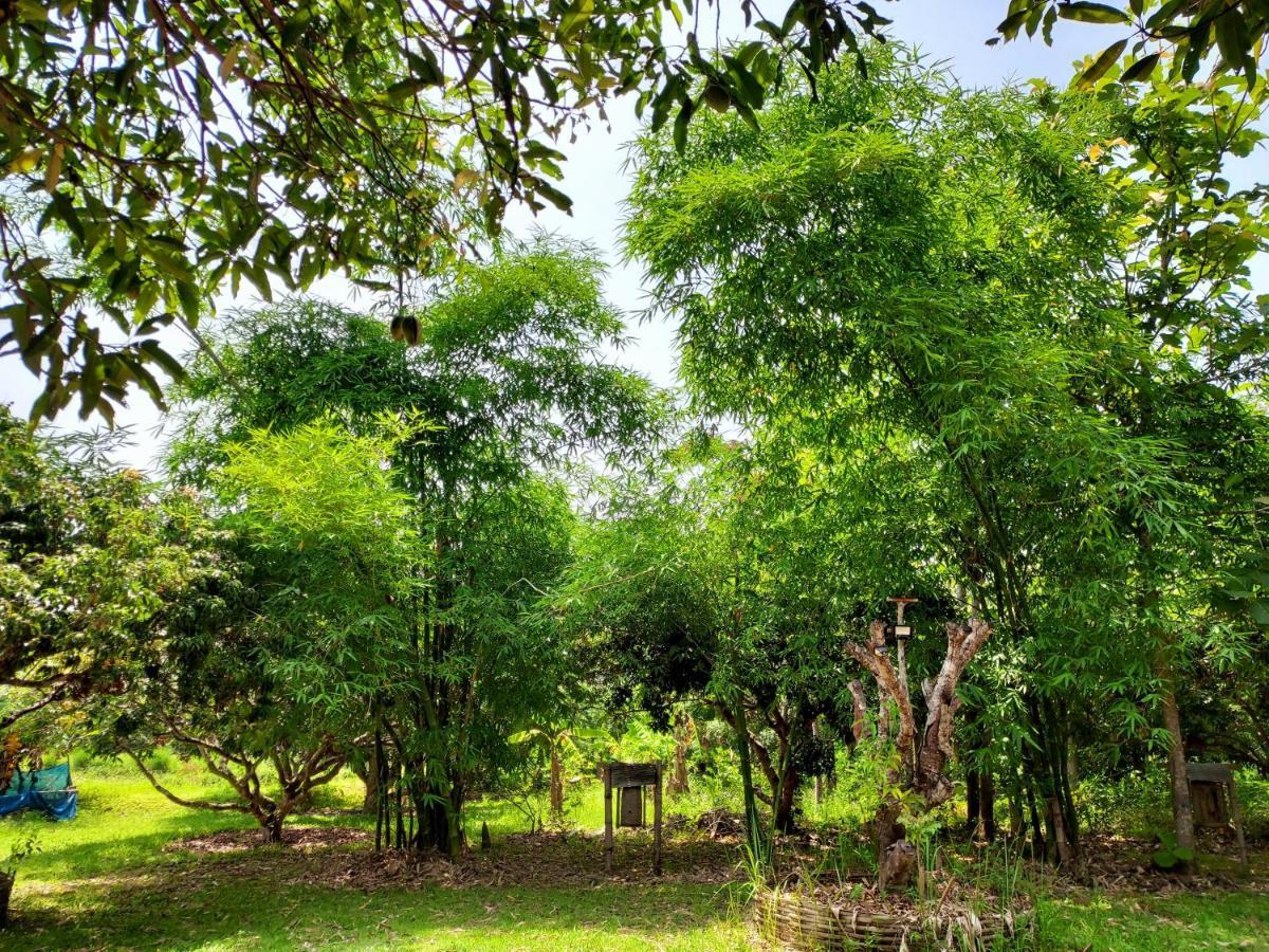 Aum Hum Homestay Fang Dış mekan fotoğraf