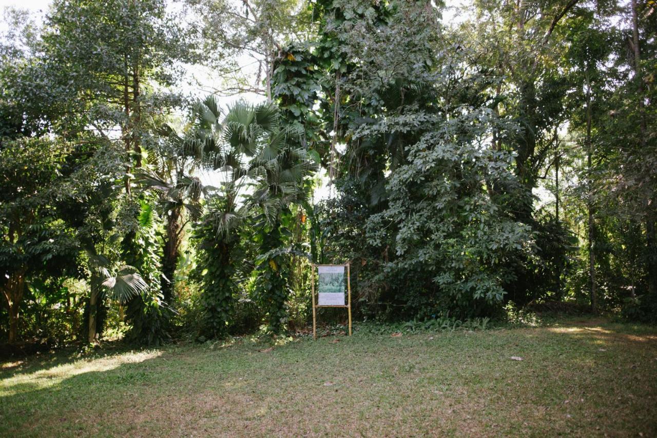 Aum Hum Homestay Fang Dış mekan fotoğraf