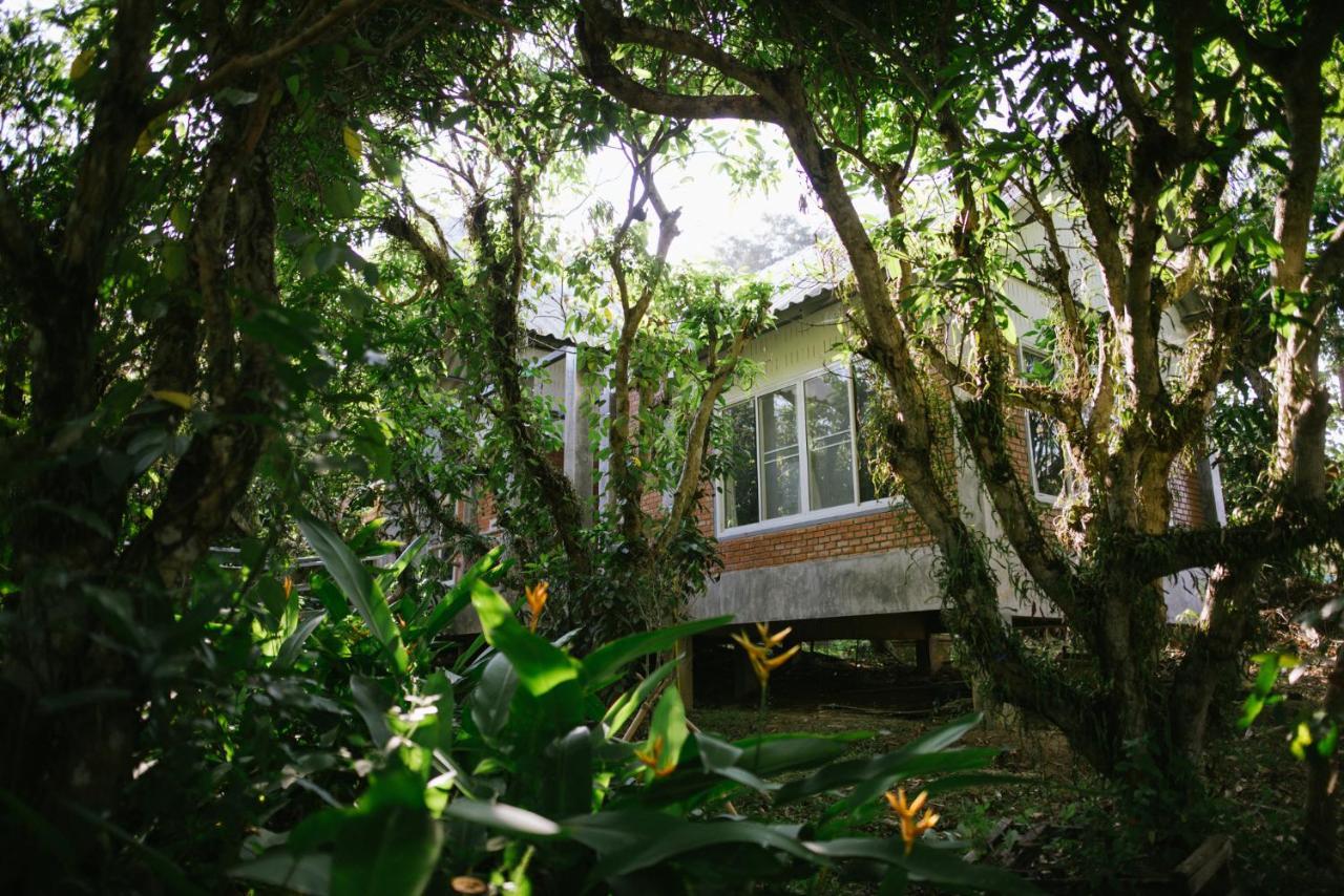 Aum Hum Homestay Fang Dış mekan fotoğraf