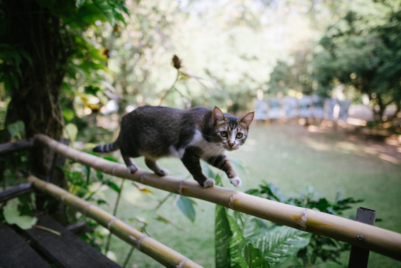 Aum Hum Homestay Fang Dış mekan fotoğraf