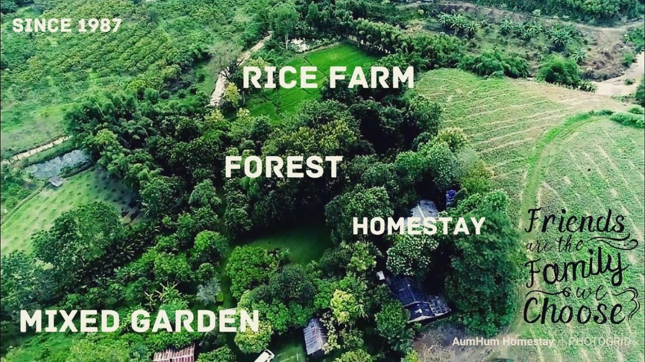 Aum Hum Homestay Fang Dış mekan fotoğraf