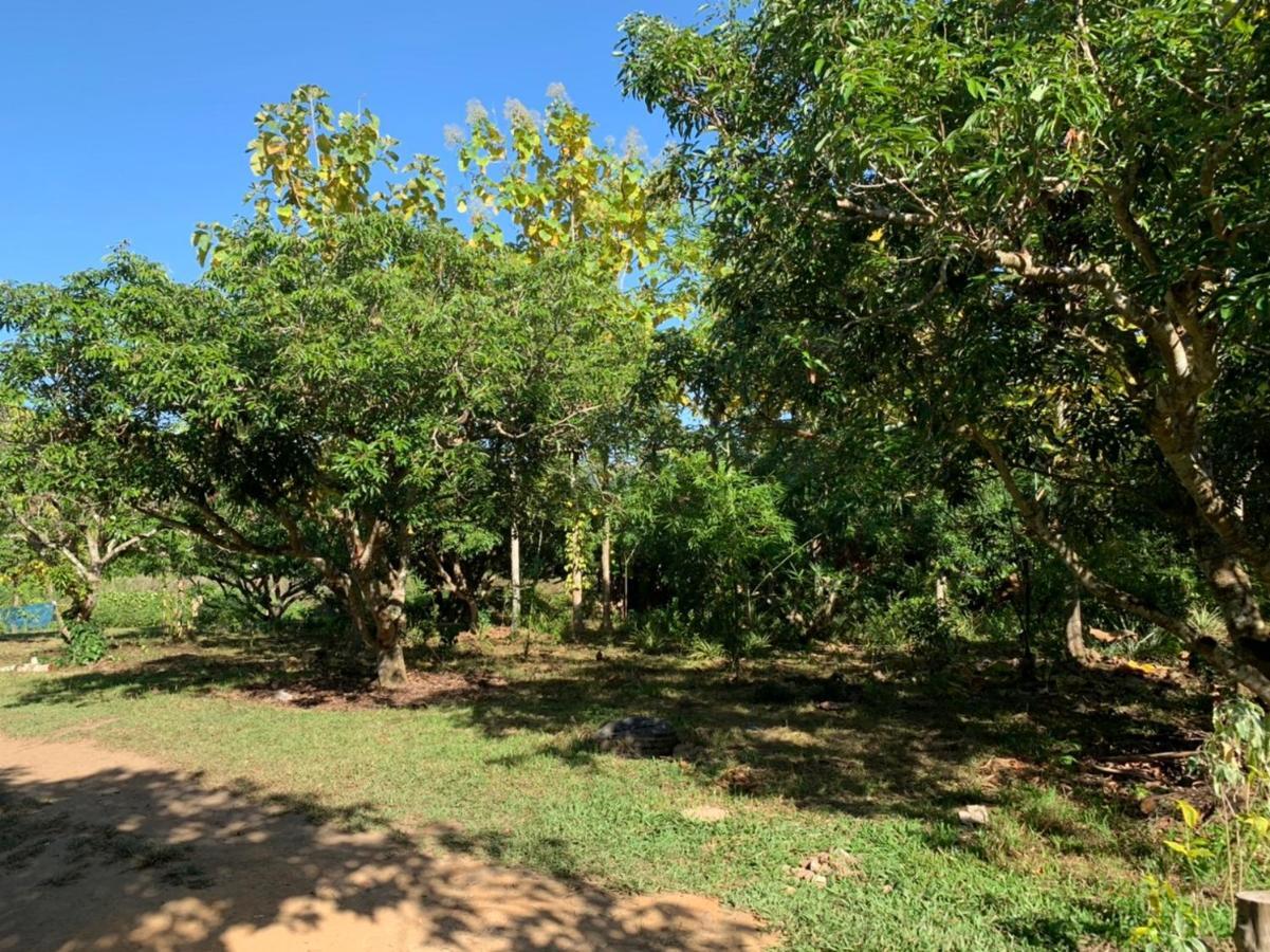 Aum Hum Homestay Fang Dış mekan fotoğraf
