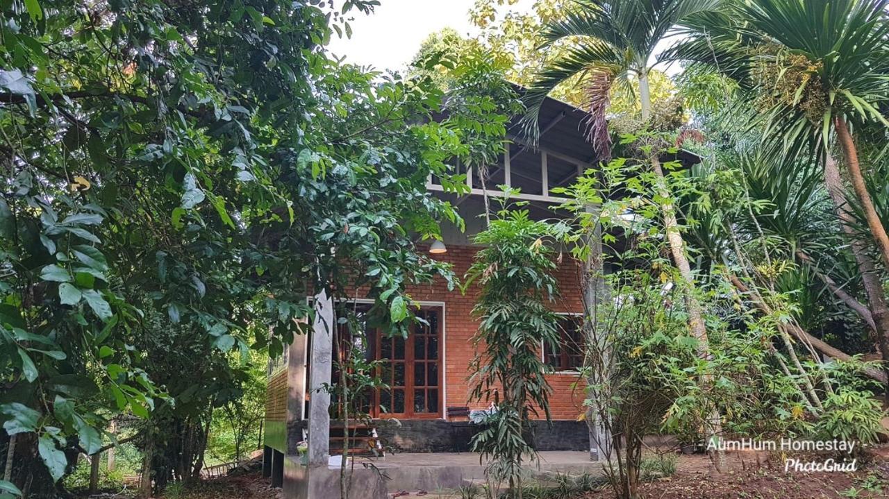 Aum Hum Homestay Fang Dış mekan fotoğraf